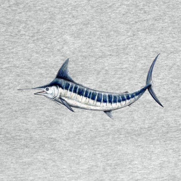 Blue marlin by chloeyzoard